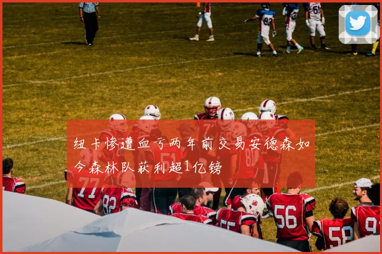 纽卡惨遭血亏两年前交易安德森如今森林队获利超1亿镑
